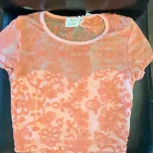 Pins and needles embroidered lace crop